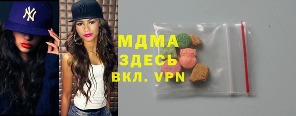 хмурый Алексин