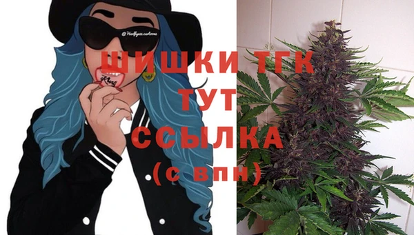гашик Алзамай