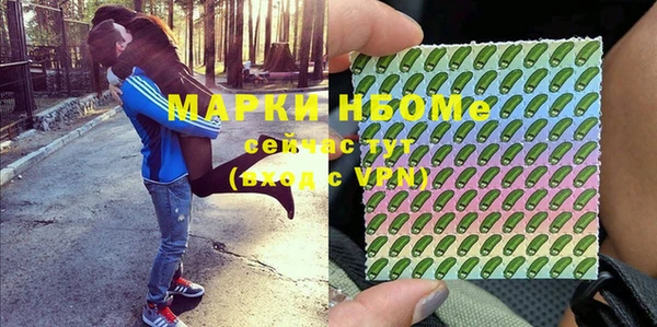 хмурый Алексин